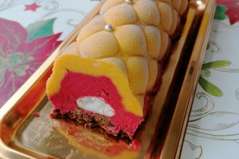 Cliquez pour zoomer ! Bûche glacée mangue et framboise au Thermomix
