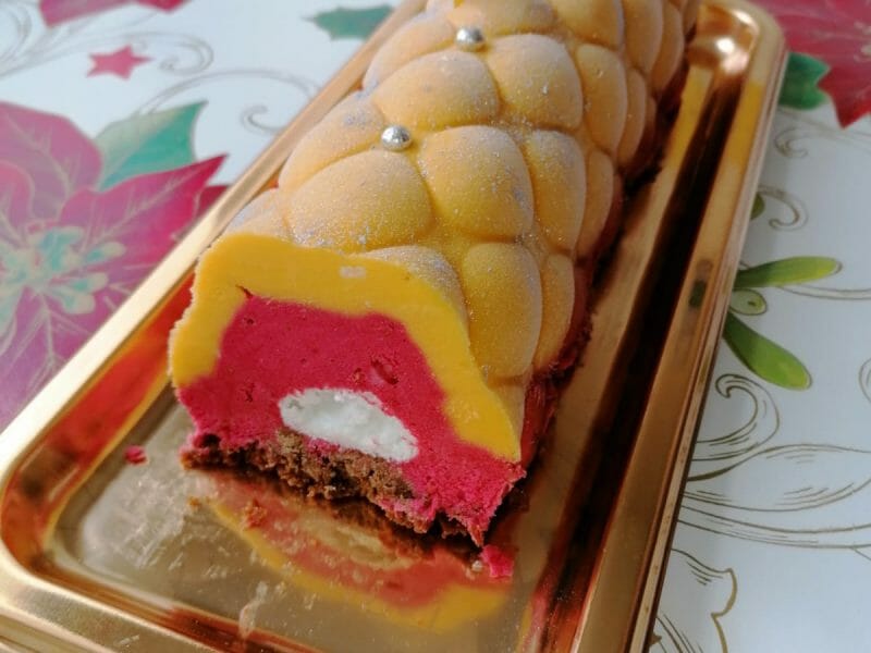 Cliquez pour zoomer ! Bûche glacée mangue et framboise Thermomix par AmeletCie