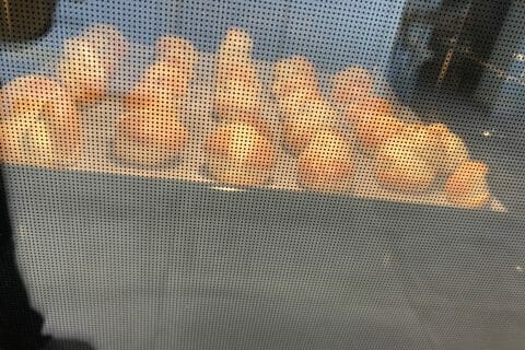 Cliquez pour zoomer ! Chouquettes Thermomix par VirgandCo