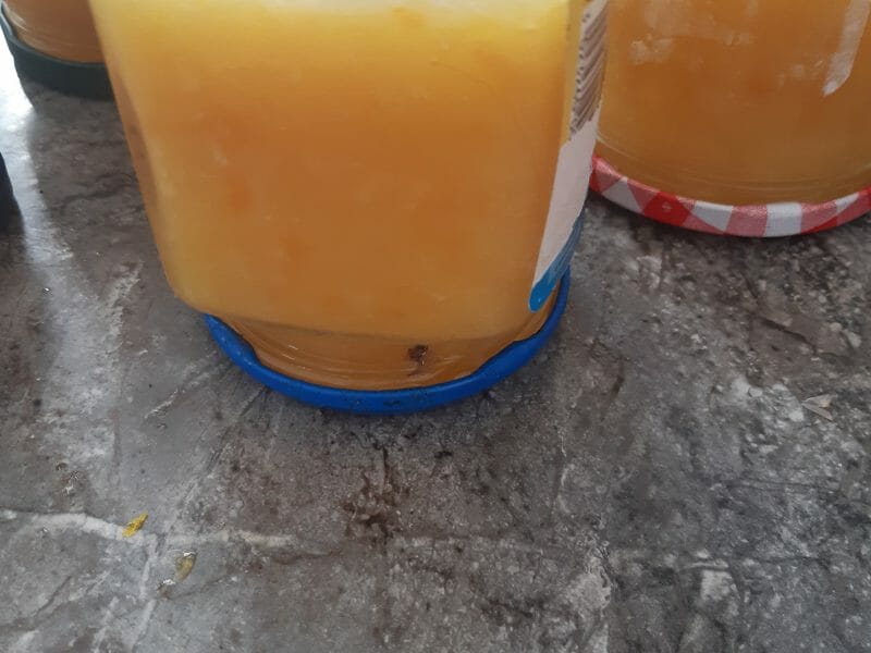 Cliquez pour zoomer ! Confiture aux 3 agrumes Thermomix par cylia