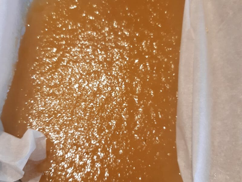 Cliquez pour zoomer ! Pâte de fruits à la pomme Thermomix par cylia