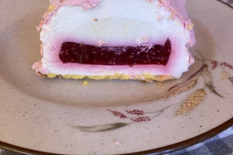 Cliquez pour zoomer ! Bûche citron et framboises Thermomix par soiz1973