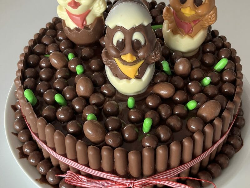 Cliquez pour zoomer ! Gâteau lapin de Pâques Thermomix par dede2009