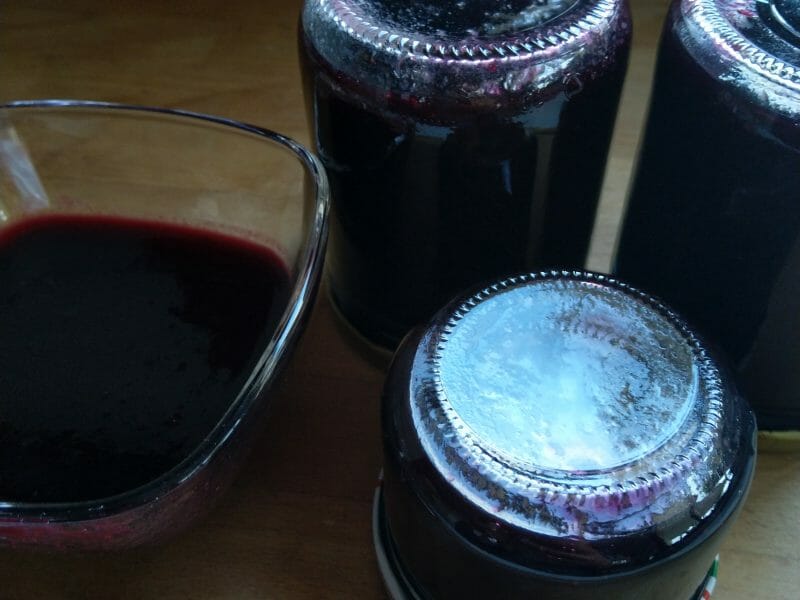 Cliquez pour zoomer ! Confiture de myrtilles Thermomix par dede2009