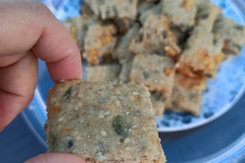 Cliquez pour zoomer ! Crackers salés à l’emmental et aux graines Thermomix par moumy76