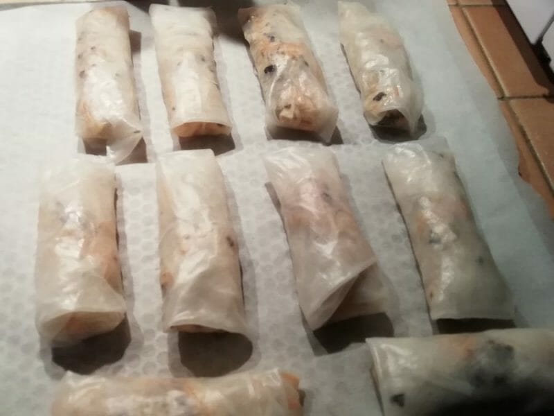 Cliquez pour zoomer ! Nems au poulet Thermomix par Taou