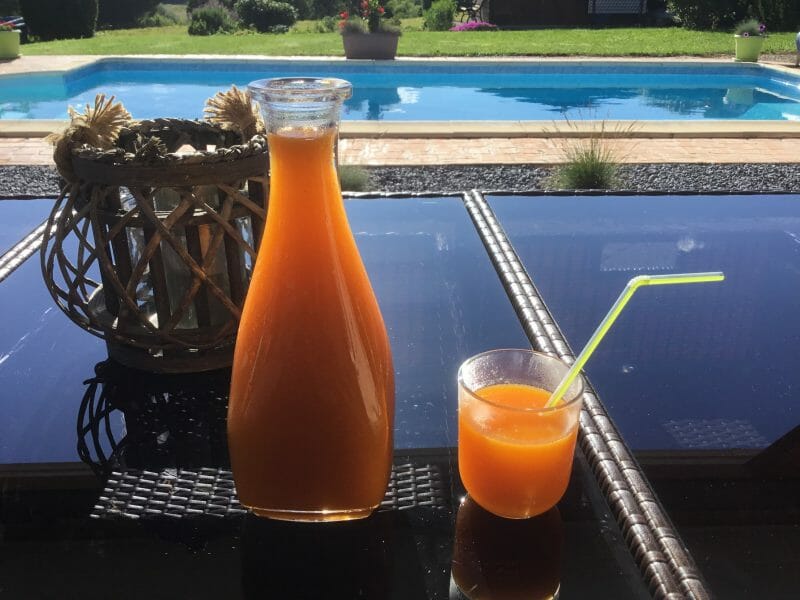 Cliquez pour zoomer ! Nectar d’abricot Thermomix par R1200gs