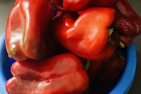 Cliquez pour zoomer ! Pâtes aux tomates et poivrons Thermomix par Sylvie