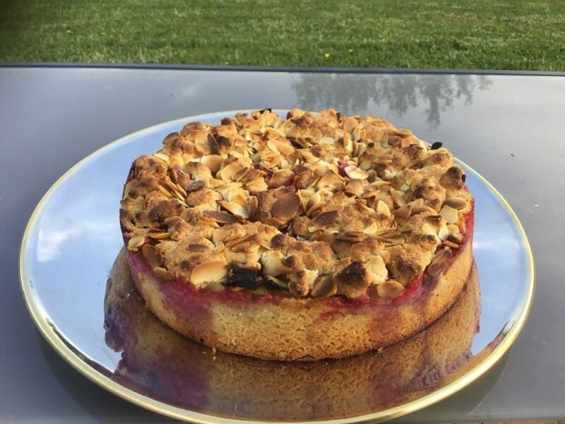 Cliquez pour zoomer ! Cookie-crumble rhubarbe framboises Thermomix par Sylvie