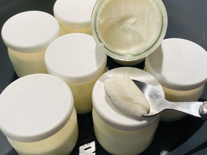 6 Pots de yaourt en verre pour Thermomix/Monsieur Cuisine Connect