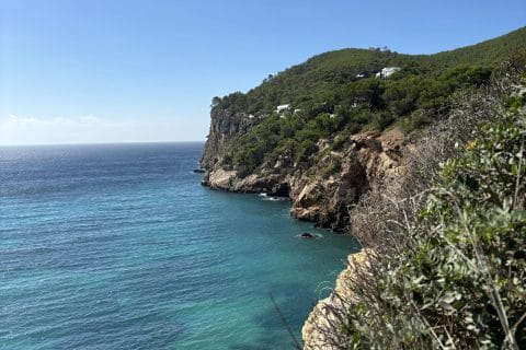 Cliquez pour zoomer ! Photo de Sylvie Thermomix par Sylvie