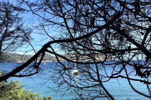 Cliquez pour zoomer ! Photo de Sylvie Thermomix par Sylvie