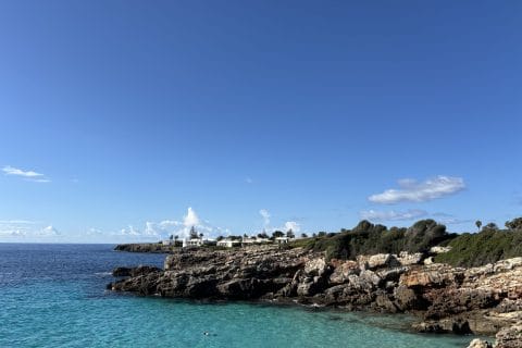 Cliquez pour zoomer ! Photo de Sylvie Thermomix par Sylvie
