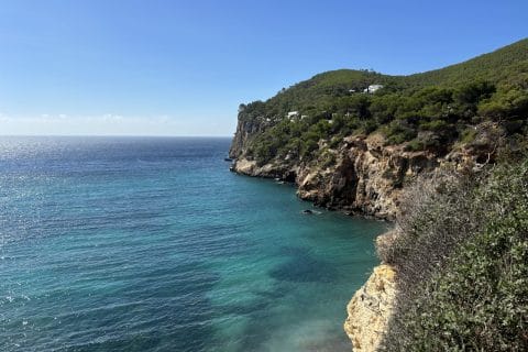 Cliquez pour zoomer ! Photo de Sylvie Thermomix par Sylvie