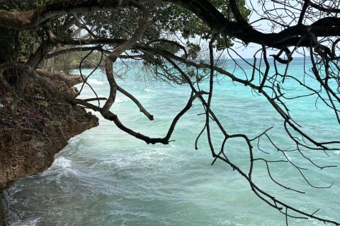 Cliquez pour zoomer ! Photo de Sylvie Thermomix par Sylvie