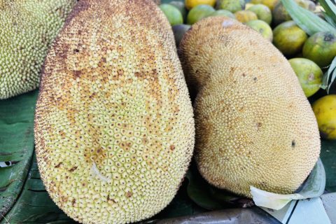 Cliquez pour zoomer ! Photo de Sylvie