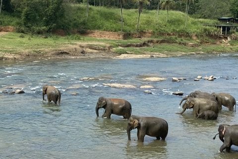 Cliquez pour zoomer ! Photo de Sylvie Thermomix par Sylvie