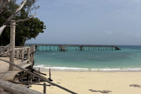 Cliquez pour zoomer ! Photo de Sylvie Thermomix par Sylvie