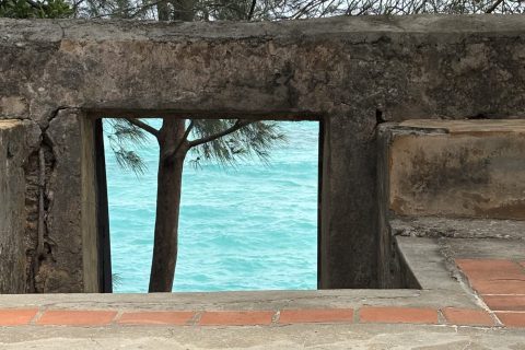 Cliquez pour zoomer ! Photo de Sylvie Thermomix par Sylvie