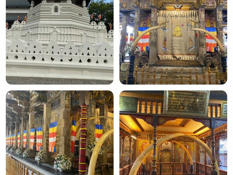 Cliquez pour zoomer ! Photo de Sylvie Thermomix par Sylvie