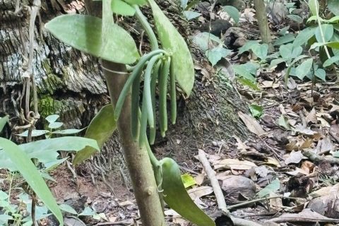 Cliquez pour zoomer ! Photo de Sylvie