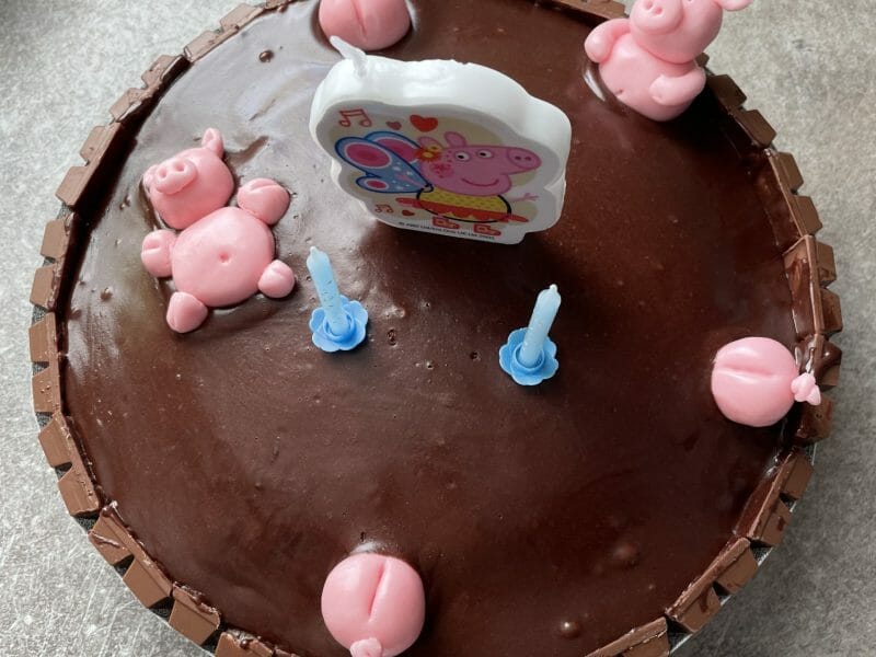 Cliquez pour zoomer ! La mare aux cochons Thermomix par Maude_25470