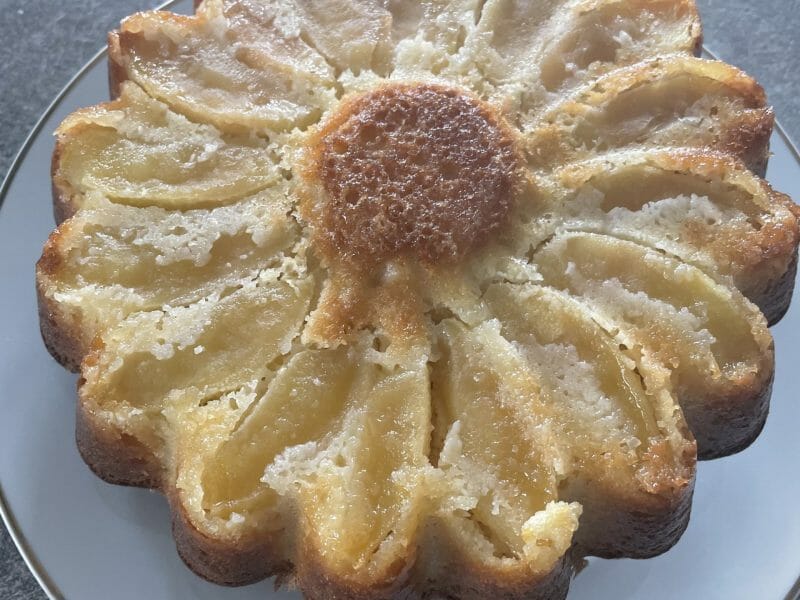 Cliquez pour zoomer ! Gâteau aux pommes et mascarpone Thermomix par Maude_25470