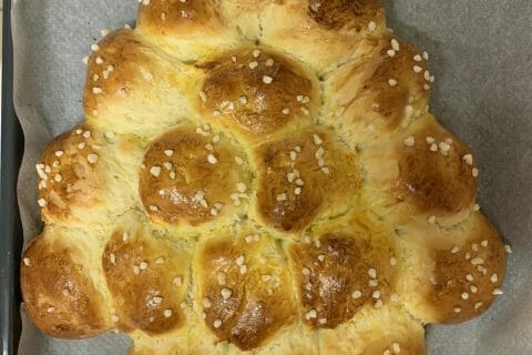 Cliquez pour zoomer ! Brioche Buchty Thermomix par vibi