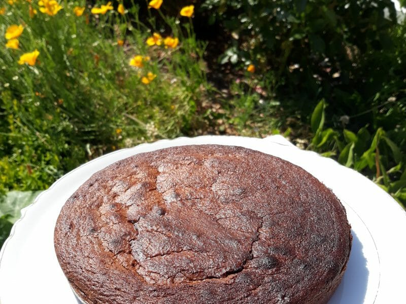 Cliquez pour zoomer ! Gâteau macaroné au chocolat Thermomix par fonf