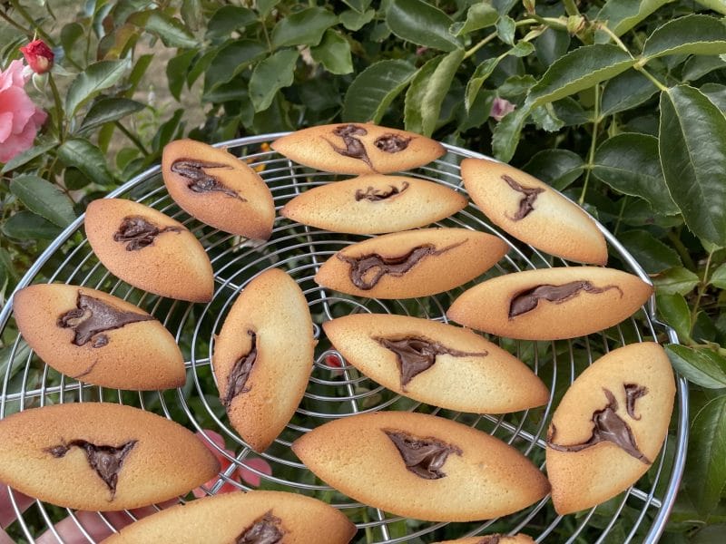 Cliquez pour zoomer ! Financiers au Nutella Thermomix par fonf