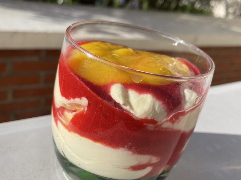 Cliquez pour zoomer ! Mangomisu Thermomix par fonf