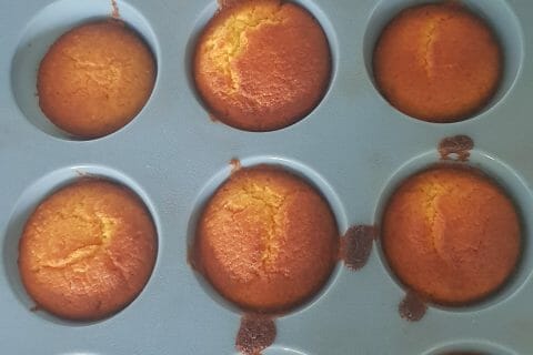 Cliquez pour zoomer ! Gâteau à la clémentine Thermomix par Gavotine34