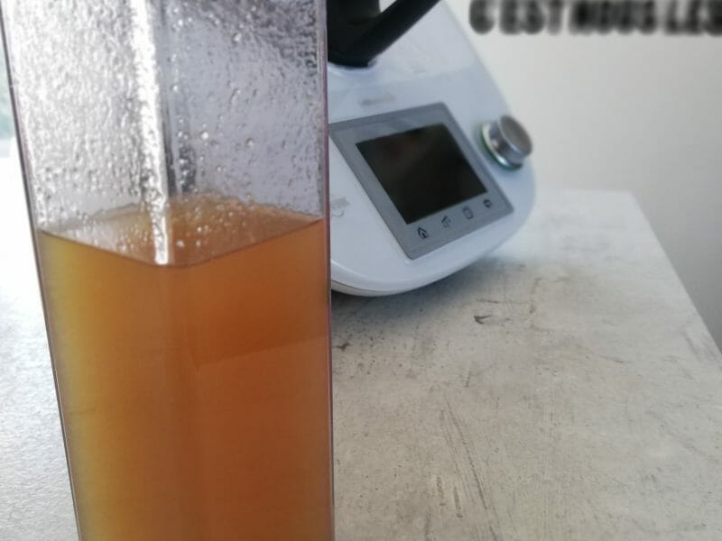 Cliquez pour zoomer ! Sirop de gingembre Thermomix par Noémie