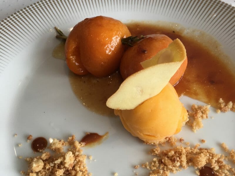 Cliquez pour zoomer ! Sorbet à l’abricot Thermomix par fabylix