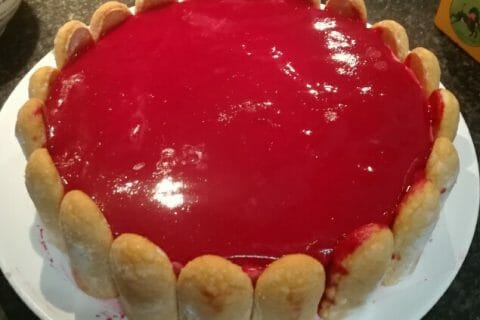 Cliquez pour zoomer ! Bavarois aux framboises Thermomix par Veronique 54