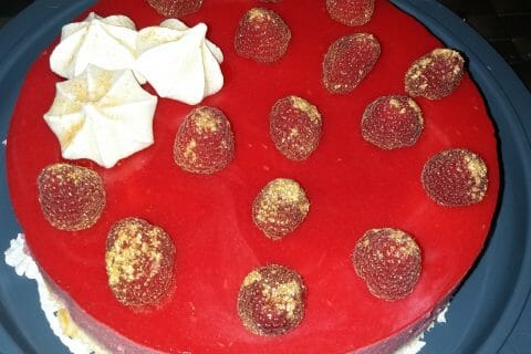 Cliquez pour zoomer ! Bavarois aux framboises au Thermomix