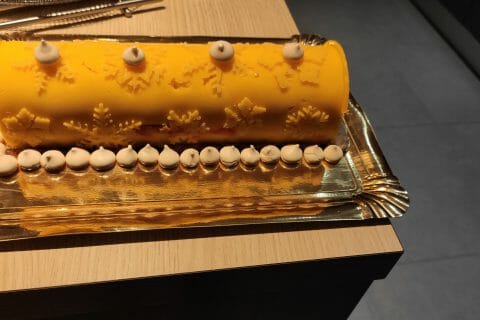 Cliquez pour zoomer ! Bûche glacée mangue et framboise Thermomix par AudreyGC