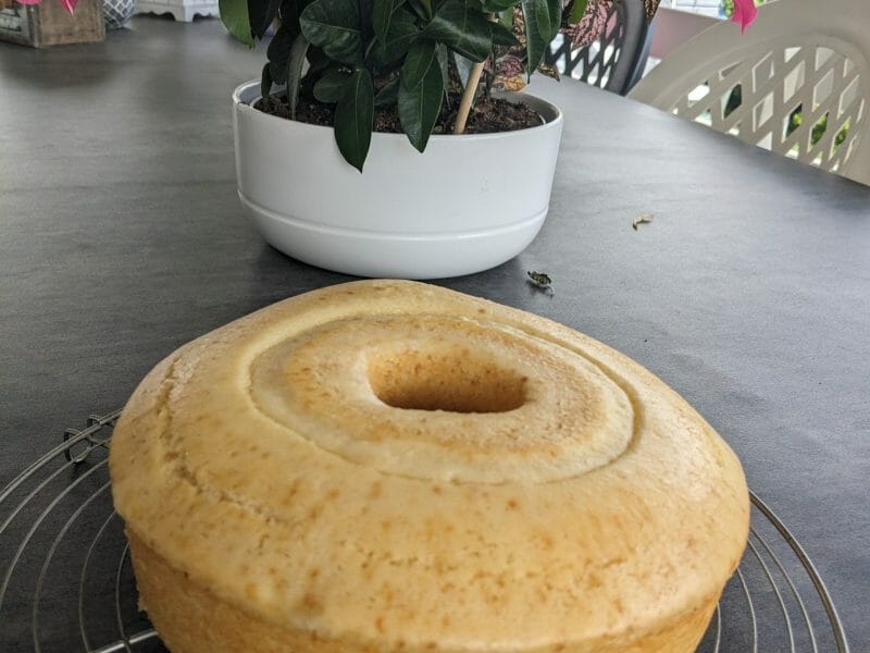 Gâteau au lait concentré Thermomix par Avaannette