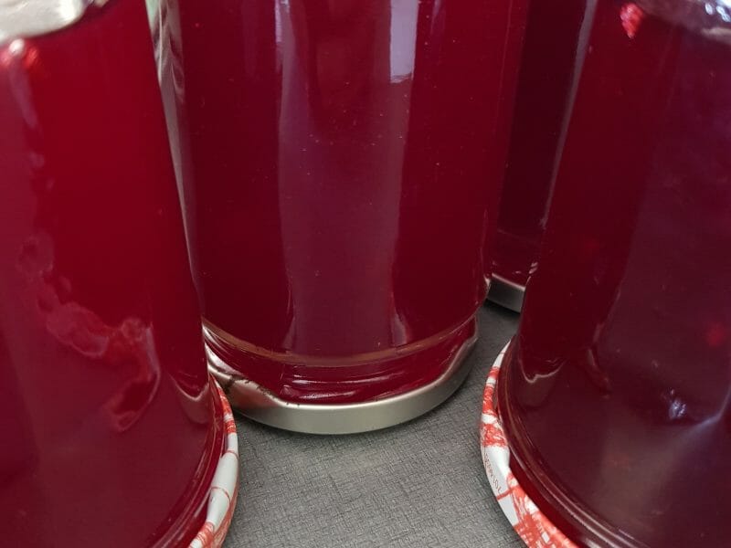 Cliquez pour zoomer ! Gelée de groseilles Thermomix par etoile555