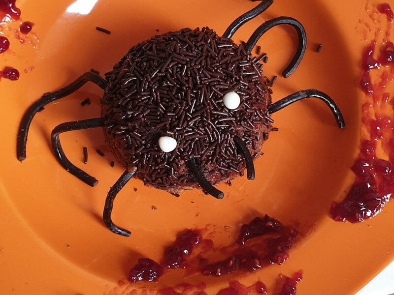 Cliquez pour zoomer ! Truffes araignées Thermomix par Corinette