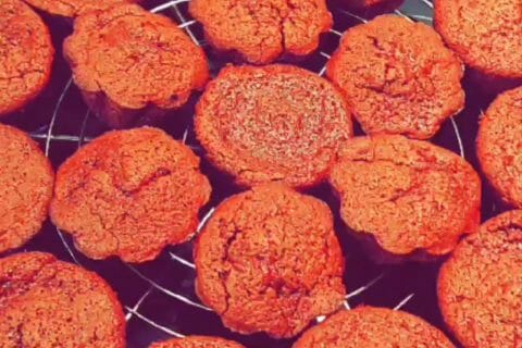 Cliquez pour zoomer ! Gâteau au chocolat et courgettes au Thermomix
