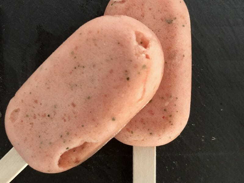 Cliquez pour zoomer ! Sorbet à la pastèque Thermomix par Butter is the new diet