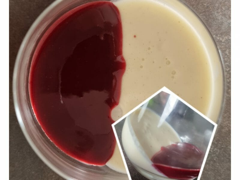 Cliquez pour zoomer ! Panna Cotta Thermomix par dody29