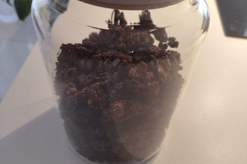 Cliquez pour zoomer ! Granola au chocolat Thermomix par fannou4