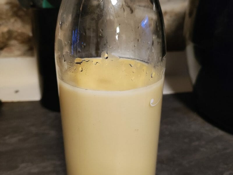 Advocaat Liqueur aux oeufs au Thermomix Cookomix