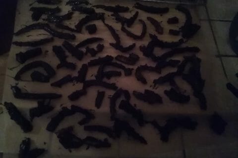 Cliquez pour zoomer ! Orangettes Thermomix par jujitsu