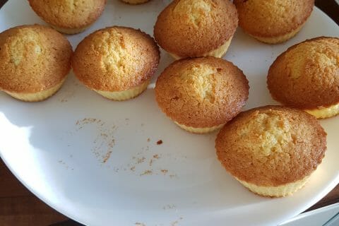 Cliquez pour zoomer ! Cake à la noix de coco au Thermomix