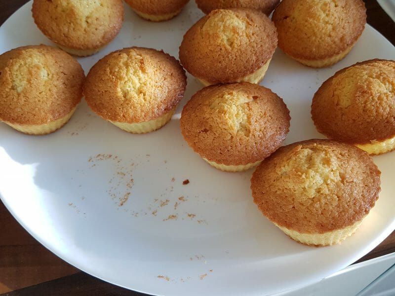 Cliquez pour zoomer ! Cake à la noix de coco Thermomix par Akkabene