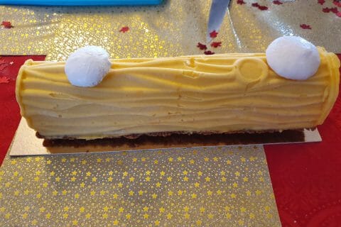 Cliquez pour zoomer ! Bûche glacée mangue et framboise Thermomix par taonine