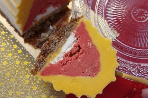 Cliquez pour zoomer ! Bûche glacée mangue et framboise Thermomix par taonine